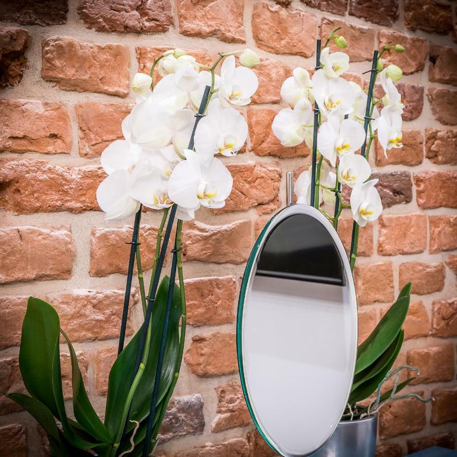 Apartamenty "Artaparts" Stare Miasto - Centrum Stary Toruń Dış mekan fotoğraf